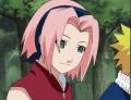 SakuraHaruno's Photo