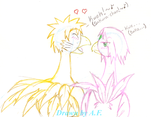 chocobo narusaku2