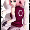 Sakura : Blossom Sakura : Blossom