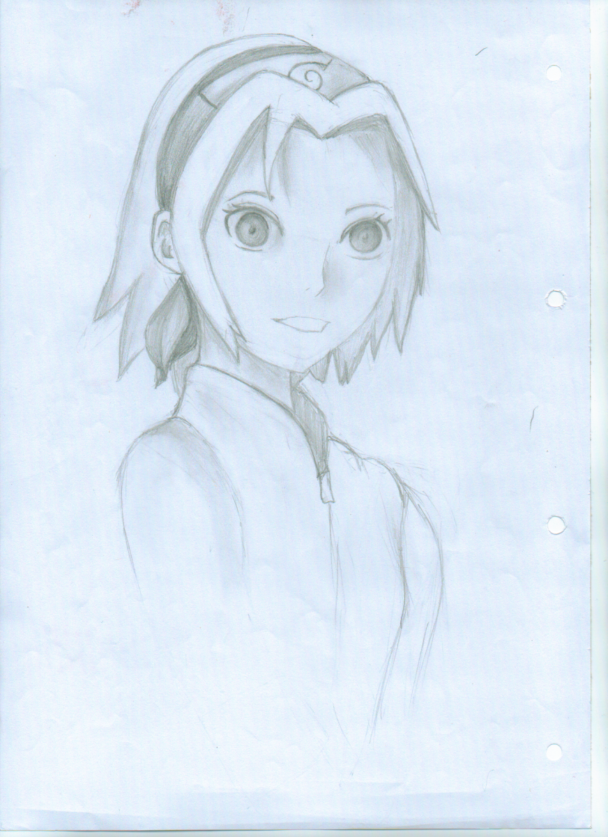 sakura sketch