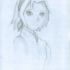 sakura sketch sakura sketch