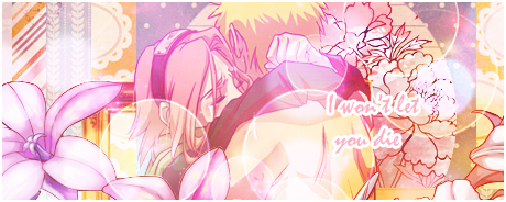 NaruSaku Sig