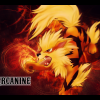 AUTUMN FANART/FANFIC CONTEST 2011 - last post by LegendaryArcanine42